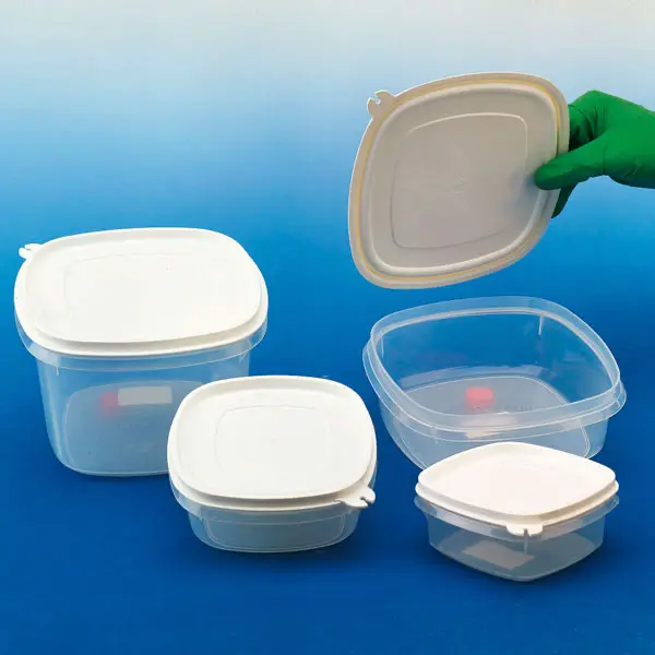 Set of storage containers with lid 150 x 110 mm x 70 mm/200 x 140 mm x 100 mm/240 x 170 mm x 120 mm